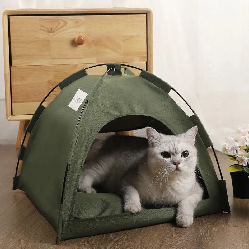 Cat and Puppy Indoor Teepee Tent with Cushion