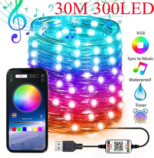 USB Smart Bluetooth LED String Lights (5M/10M/20M/30M)